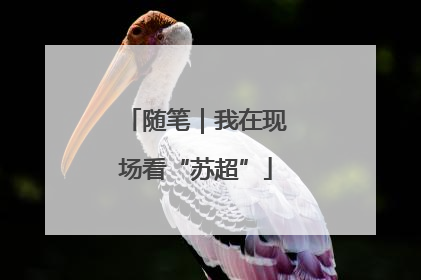 随笔｜我在现场看“苏超”