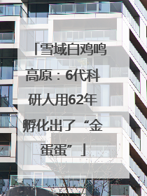雪域白鸡鸣高原：6代科研人用62年孵化出了“金蛋蛋”