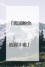 霞浦鲍鱼喜迎丰收