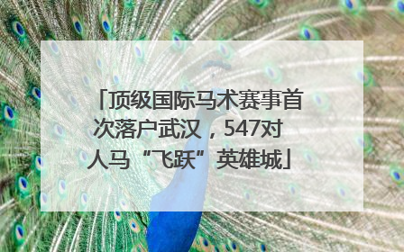 顶级国际马术赛事首次落户武汉，547对人马“飞跃”英雄城