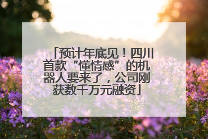 预计年底见！四川首款“懂情感”的机器人要来了，公司刚获数千万元融资
