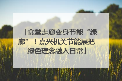 食堂走廊变身节能“绿廊”！嘉兴机关节能展把绿色理念融入日常