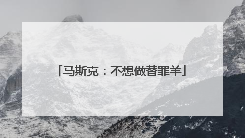 马斯克：不想做替罪羊
