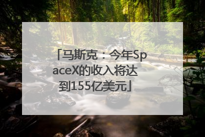 马斯克：今年SpaceX的收入将达到155亿美元