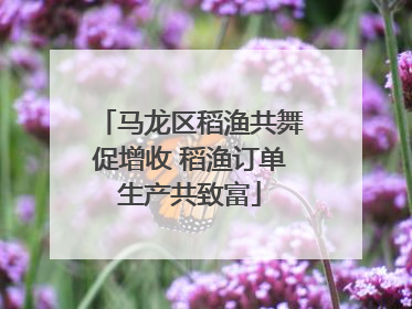 马龙区稻渔共舞促增收 稻渔订单生产共致富