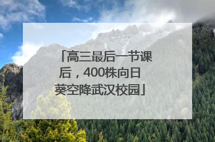 高三最后一节课后，400株向日葵空降武汉校园