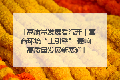 高质量发展看汽开｜营商环境“主引擎” 轰响高质量发展新赛道
