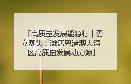 高质量发展能源行｜勇立潮头，激活粤港澳大湾区高质量发展动力源