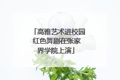 高雅艺术进校园 红色舞剧在张家界学院上演