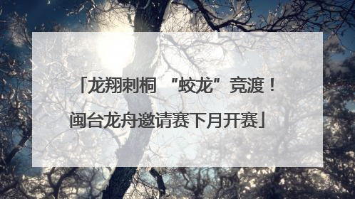龙翔刺桐 “蛟龙”竞渡！闽台龙舟邀请赛下月开赛