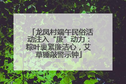 龙凤村端午民俗活动注入“廉”动力：粽叶裹紧廉洁心，艾草锤敲警示钟