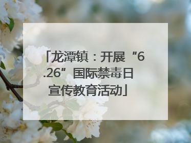 龙潭镇：开展“6.26”国际禁毒日宣传教育活动