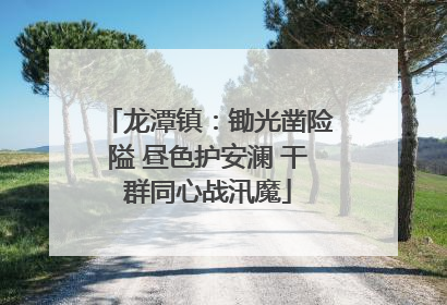 龙潭镇：锄光凿险隘 昼色护安澜 干群同心战汛魔