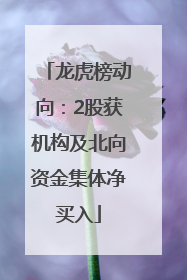 龙虎榜动向：2股获机构及北向资金集体净买入