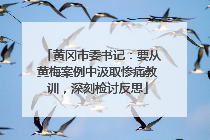 黄冈市委书记：要从黄梅案例中汲取惨痛教训，深刻检讨反思