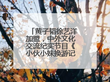 黄子韬徐艺洋加盟，中外文化交流纪实节目《小伙小妹换游记》六月上线