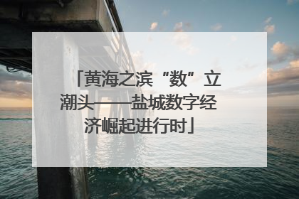 黄海之滨“数”立潮头——盐城数字经济崛起进行时