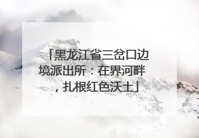 黑龙江省三岔口边境派出所：在界河畔，扎根红色沃土
