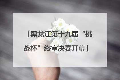 黑龙江第十九届“挑战杯”终审决赛开幕