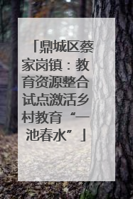 鼎城区蔡家岗镇：教育资源整合试点激活乡村教育“一池春水”