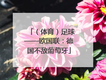 （体育）足球——欧国联：德国不敌葡萄牙