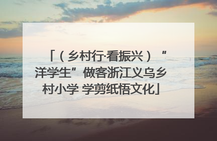 （乡村行·看振兴）“洋学生”做客浙江义乌乡村小学 学剪纸悟文化