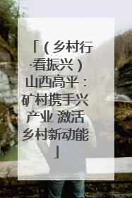 （乡村行·看振兴）山西高平：矿村携手兴产业 激活乡村新动能