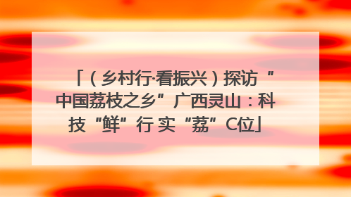 （乡村行·看振兴）探访“中国荔枝之乡”广西灵山：科技“鲜”行 实“荔”C位