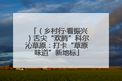 （乡村行·看振兴）舌尖“欢腾”科尔沁草原：打卡“草原味道”新地标