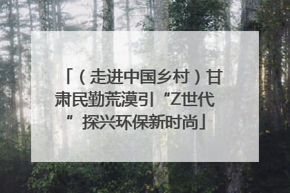 （走进中国乡村）甘肃民勤荒漠引“Z世代”探兴环保新时尚