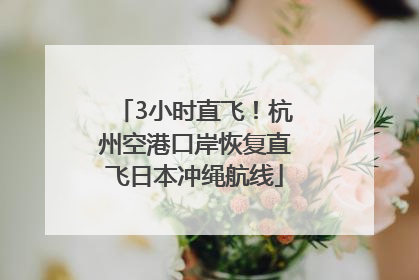 3小时直飞！杭州空港口岸恢复直飞日本冲绳航线
