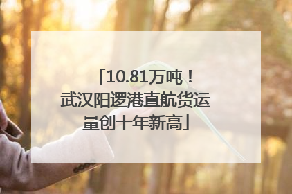 10.81万吨！武汉阳逻港直航货运量创十年新高