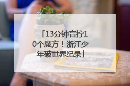13分钟盲拧10个魔方！浙江少年破世界纪录