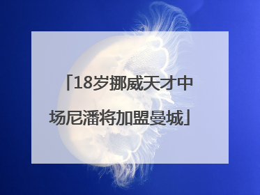 18岁挪威天才中场尼潘将加盟曼城