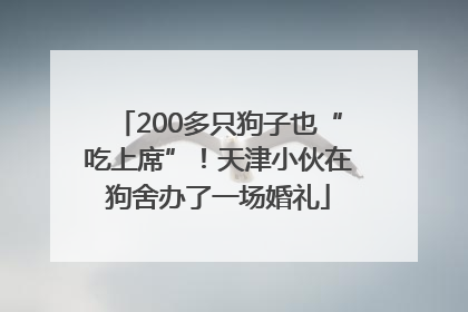 200多只狗子也“吃上席”！天津小伙在狗舍办了一场婚礼