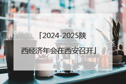 2024-2025陕西经济年会在西安召开