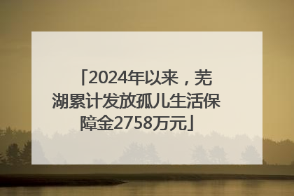 2024年以来，芜湖累计发放孤儿生活保障金2758万元