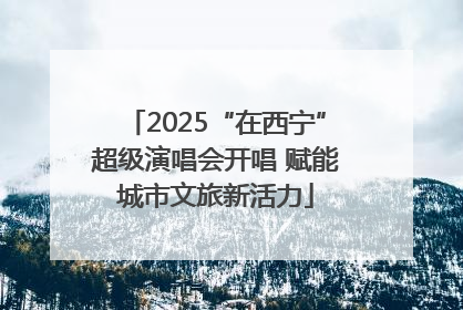 2025“在西宁”超级演唱会开唱 赋能城市文旅新活力