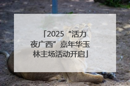 2025“活力夜广西”嘉年华玉林主场活动开启