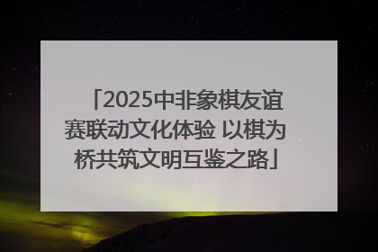 2025中非象棋友谊赛联动文化体验 以棋为桥共筑文明互鉴之路