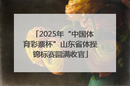 2025年“中国体育彩票杯”山东省体操锦标赛圆满收官