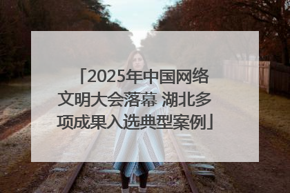 2025年中国网络文明大会落幕 湖北多项成果入选典型案例