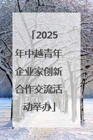 2025年中越青年企业家创新合作交流活动举办