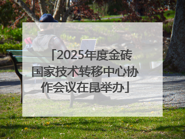 2025年度金砖国家技术转移中心协作会议在昆举办