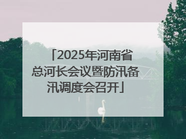 2025年河南省总河长会议暨防汛备汛调度会召开