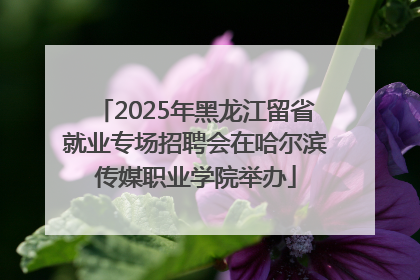 2025年黑龙江留省就业专场招聘会在哈尔滨传媒职业学院举办
