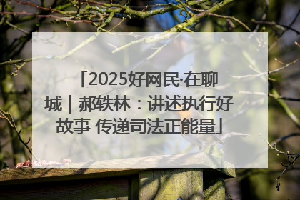 2025好网民·在聊城｜郝轶林：讲述执行好故事 传递司法正能量