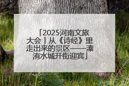 2025河南文旅大会丨从《诗经》里走出来的景区——溱洧水城开街迎宾