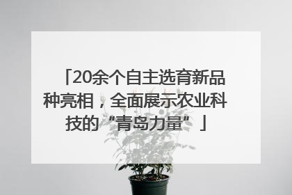 20余个自主选育新品种亮相，全面展示农业科技的“青岛力量”