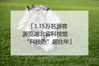 3.35万名游客游览湖北省科技馆 “科技热”超往年
